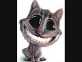 Laugh at  about the Israelis and Jews