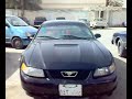 ANTAKYA CENNET.BLACK MUSTANG