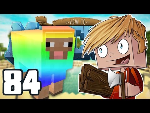 how to get a sheep to follow you in minecraft