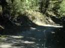 Wildeness BC