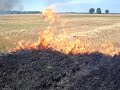 wheat field burning