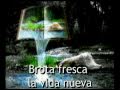 Jesus Camino y Verdad NEW