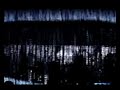 Nine Inch Nails: 08.10.08: Ghosts
