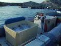 French Sea bass/sea bream farming French Sea bass/sea bream farming