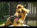Oskar- I shall not walk alone