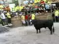 Capeia FOIOS