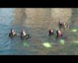 Divemaster IFOC 2008 ZOEA