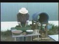Seed Ball Story