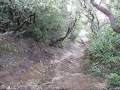 videos de Pacifica 2008 movie