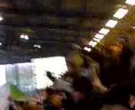 Sunderland Fans Sheff Wed Away
