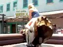 riding a bulll