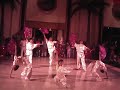 Wushu Kungfu fan Dance Wushu Kungfu fan Dance