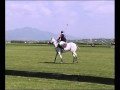 - Vladi-Polo Industria - Vladi-Polo Industria