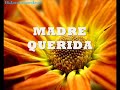 Madre Querida - Seven to Heaven LETRA LYRICS