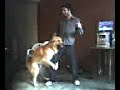 Un perro me hace el amor Un perro me hace el amor