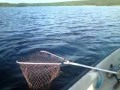 Fiske etter storørret i Finnmark