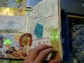 Shanghai Travel Journal.wmv