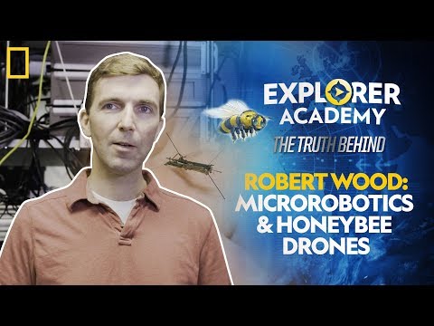 Unit 09-Microrobotics and Honeybee Drones Thumbnail