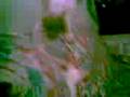 videos de cat fighting in calamba