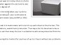 Turtle Care Guide Preview Turtle Care Guide Preview
