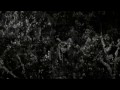 Dead Man (Movie)