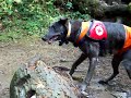 Oregon 2008 035Smokewater4.mov Oregon 2008 035Smokewater4.mov