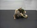 2 Move Combo from Guard - Hip Bump Sweep to Oma Plata