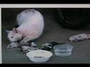 olympic-bloody-games.html