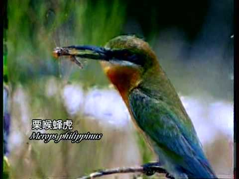 See video