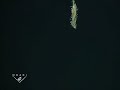 Swima worm