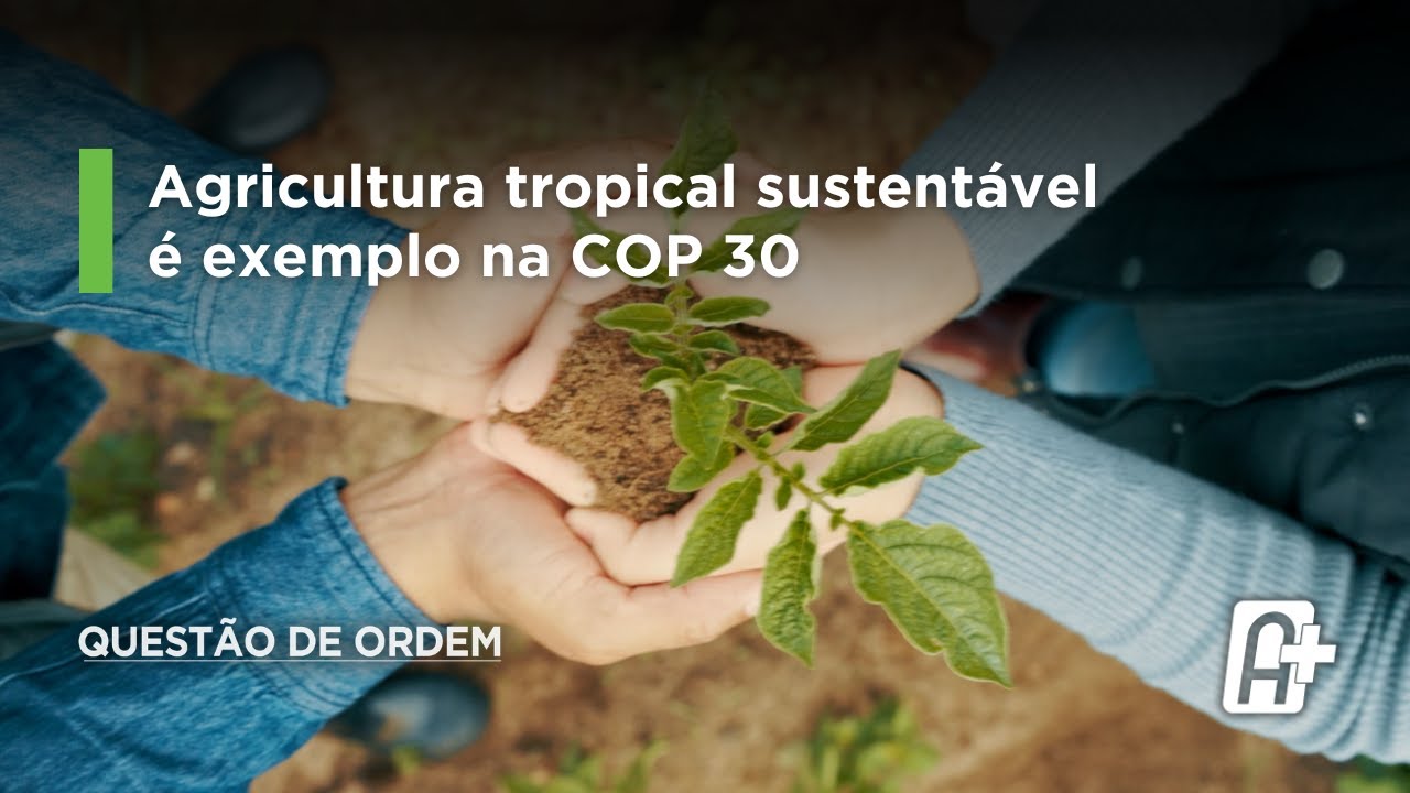 Questão de Ordem com Silvia Massruhá, presidente da Embrapa