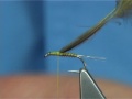 Tying a CDC Olive Emerger by Davie McPhail