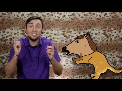 +100500 - Котоконь