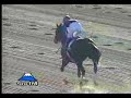 broadappeal@Garnet stakes broadappeal@Garnet stakes