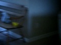 DSCF8545