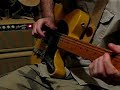 Polecat Blues