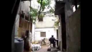 اللاجؤون الفلسطينيون في لبنان مخيم مار الياس ....1