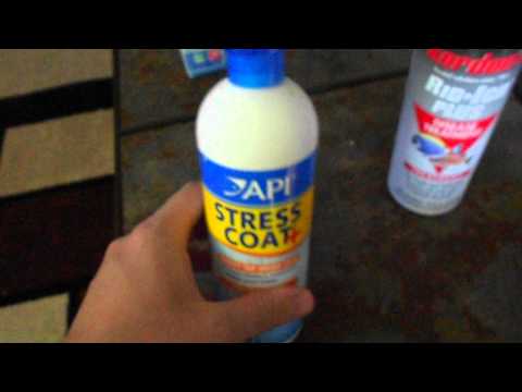 how to cure ick with salt