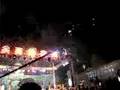 Fireworks  - they love it