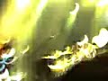Alex Turner gets tackled