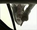 To you- A te (A Bella and Edward video) To you- A te (A Bella and Edward video)