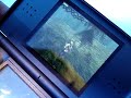 Eragon DS