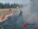 Forest Conservation Technician