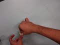 Magnetic Force on Current-Carrying Wires