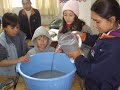 Reciclagem