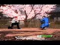 猫動画