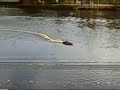 pro boat apache 24,first run