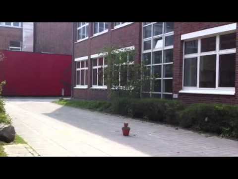 Anorganisches Präparat