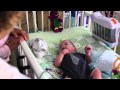 Sounds of Love Program in NICU at Nationwide Children's Hospital 