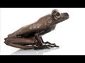 Frogs, Fish and More New Species Found in ...